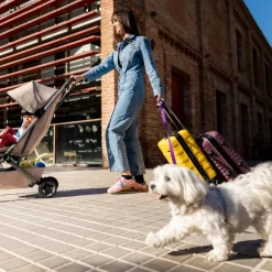 JOOLZ Aer2 - Forest green- Klapvogne Med Flade Sæder|Rejseklapvogne