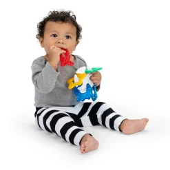 Baby Einstein Bidering: Ocean Explorer Sensory of Seas- Bideringe & Rangler
