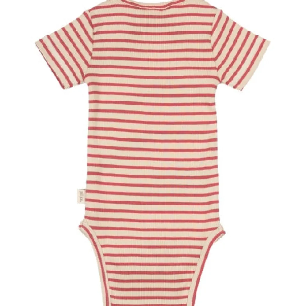 PETIT PIAO Body SS Striper - BERRYWHITE- Bodystocking Kortærmet