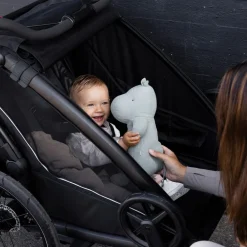 Thule Chariot Sport 2 single - Natural Gold- Cykelvogne