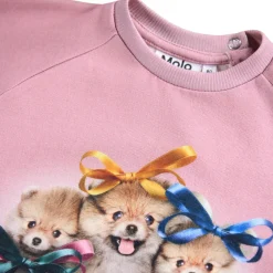 Molo Disc Sweater - 9704- Cardigans, Veste & Trøjer