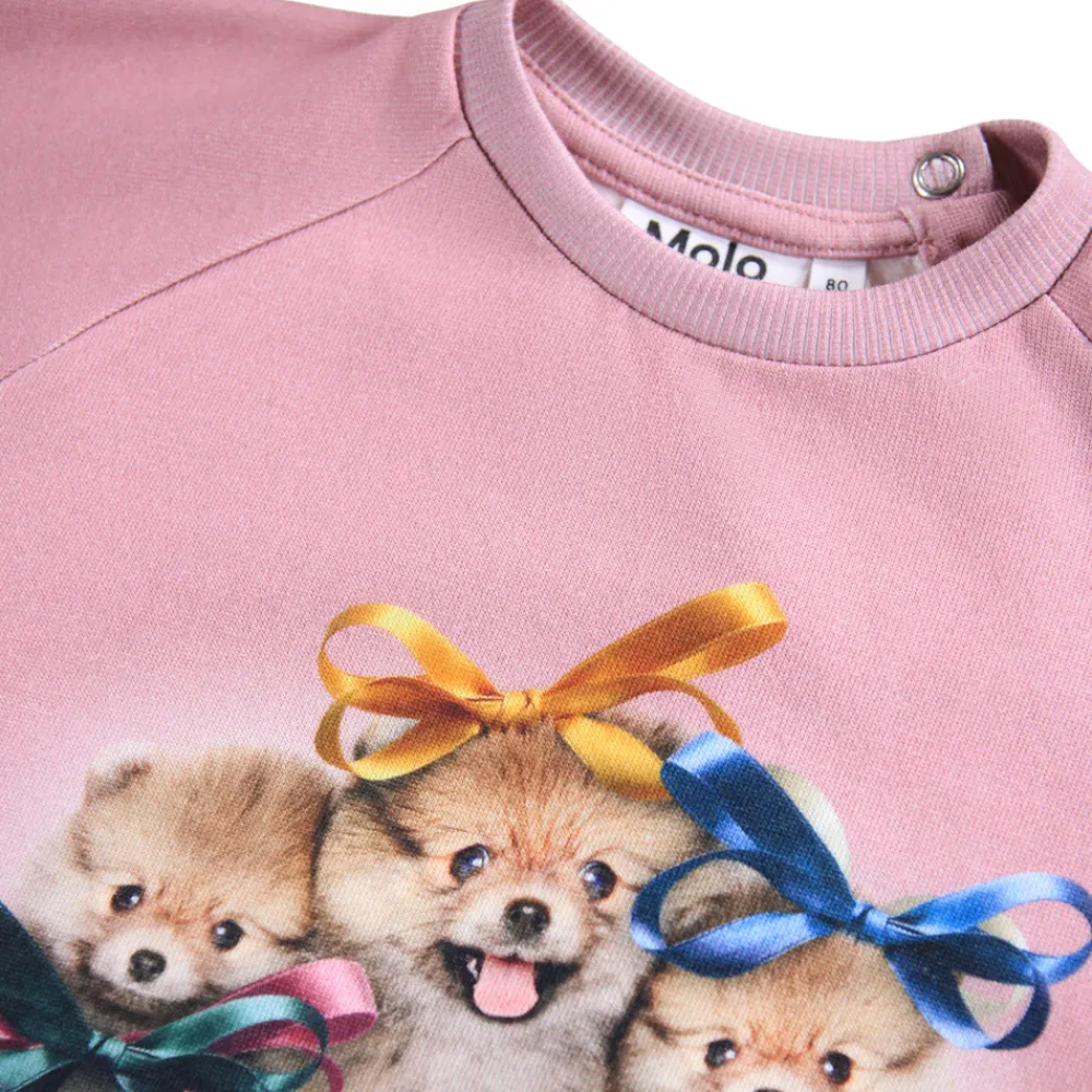 Molo Disc Sweater - 9704- Cardigans, Veste & Trøjer