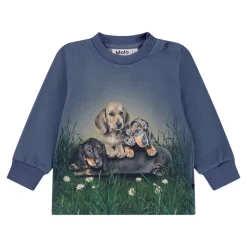 Molo Eloy Sweatshirt - 9679- Cardigans, Veste & Trøjer