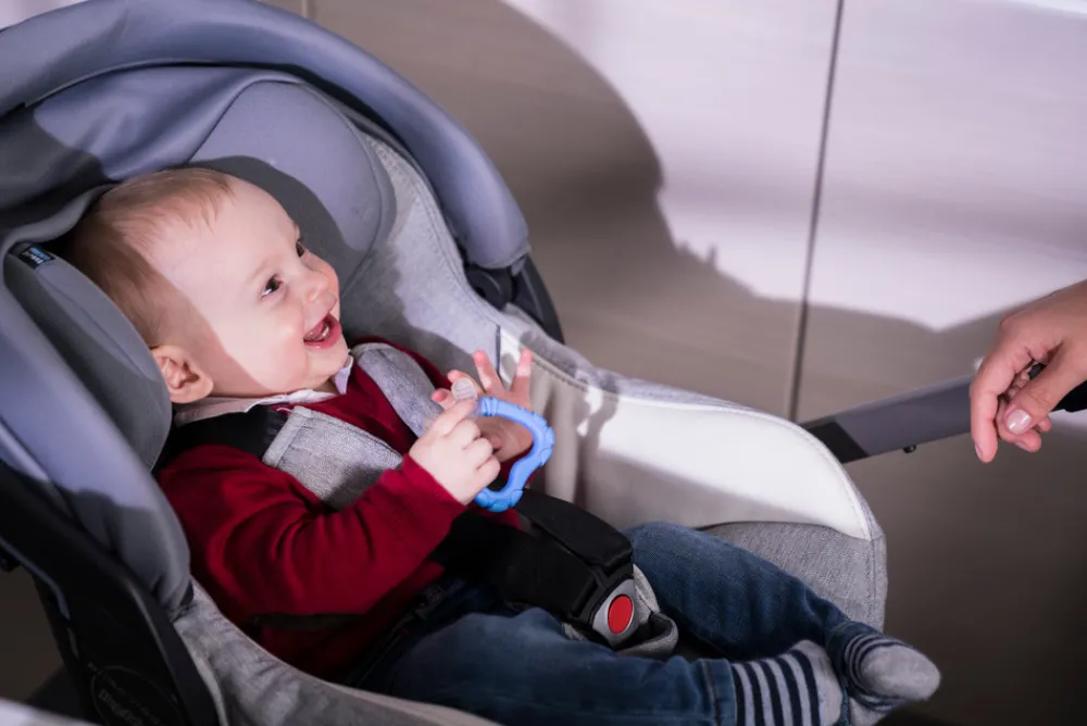 Nuvita FLAVORILLO 2 i 1 frugtsut og bidering - grøn- Foodfeeder Og Frugtsut