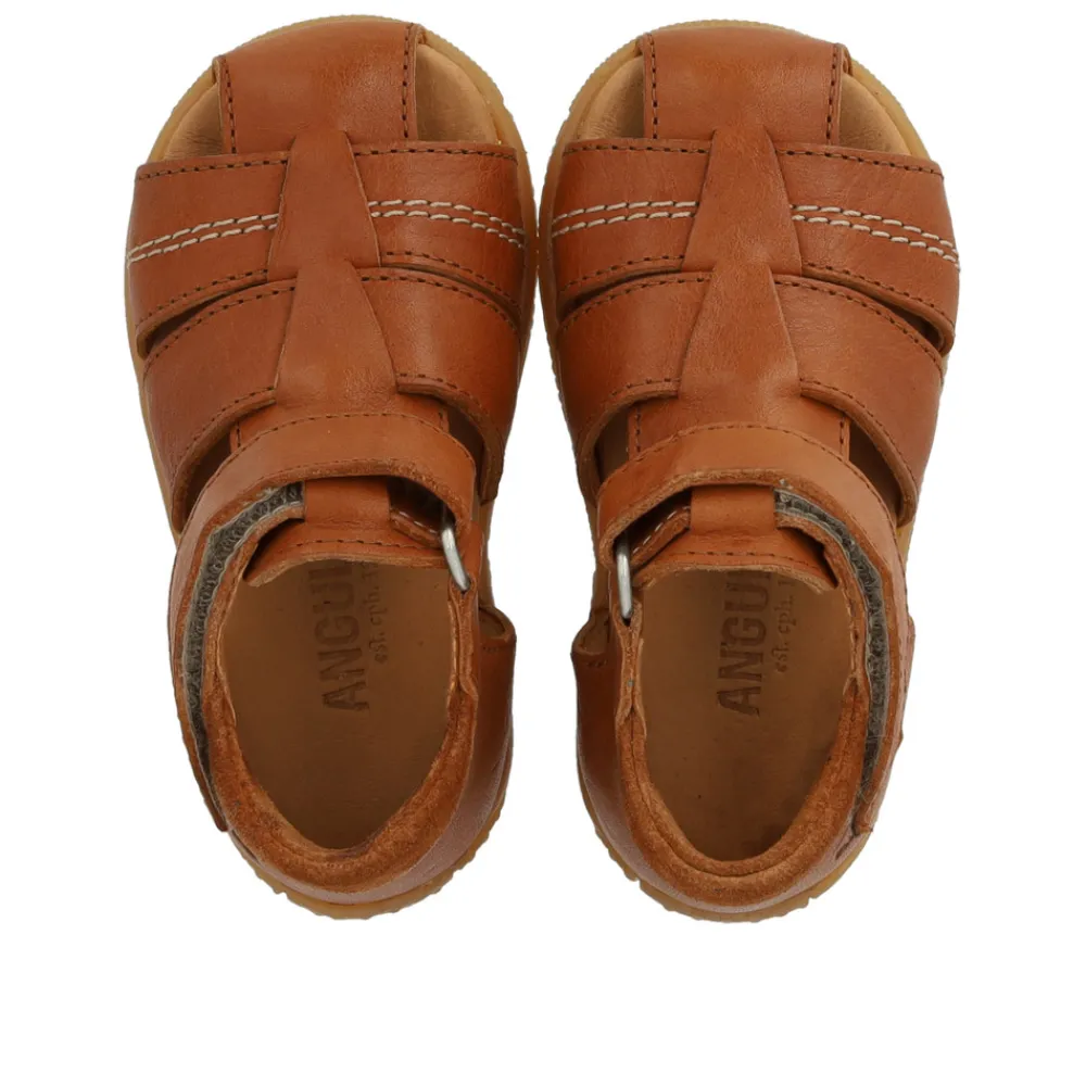 Angulus Prewalker sandal med velcro - Cognac/Cognac- Begyndersandaler|Begyndersandaler