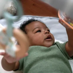 Ingenuity Sheppy's Spot plys aktivitets-gym- Aktivitetstæpper