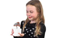 Kids By Friis Stjernetegn, krebsen-Børn Sparegrise