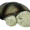 Cloudb Twilight Turtle, Mocha-Børn Lamper