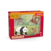 Schleich Wild Life "Asia" Starter Set- Figurer